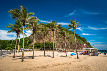 Palm Trees on Sand in Beach and Leme Rock in the Background, Rio de Janeiro, Brazil