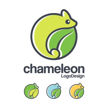 Flat Color of Chameleon Logo Circle Outline Design Vector
