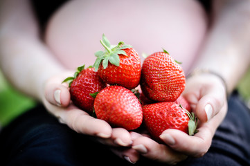 erdbeeren