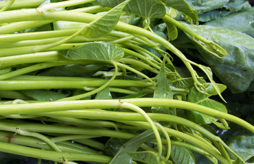 Thai Morning glory and Chinese Kale wash in water