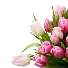 Pink tulip flowers bouquet