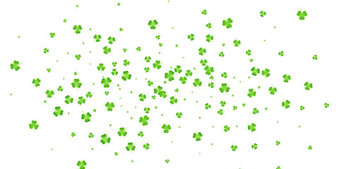 Clover flying leaves background. Saint Patrick's Day banner. Three leaf clover leaves