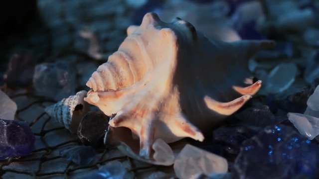 Light shining on seashells and crystals during the night.
