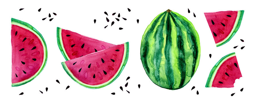 Watercolor Watermelon Set