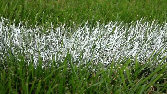 Dolly of white paint line on grass sports field.