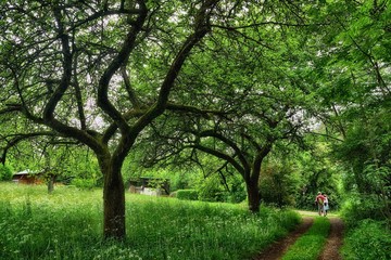 Wandern in Franken