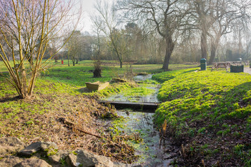 Running stream in a park