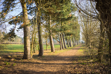 Naklejka premium Countryside in England winter to summer