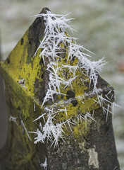 Cemetry in winter. Graveyard. Iron fence. Winter. Frost. Ice. Hoar frost. Maatschappij van Weldadigheid Frederiksoord Netherlands.