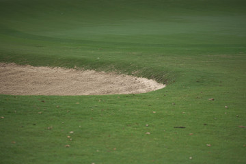 Golf course design created from harming natural resources, as well as many talented golfers.