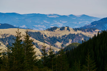 Beautiful view of the blue winter mountains and hills in Carpathians on the sunrise