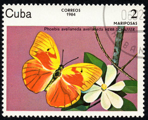 UKRAINE - CIRCA 2017: A stamp printed in Cuba, shows image of a butterfly Phoebis avellaneda...