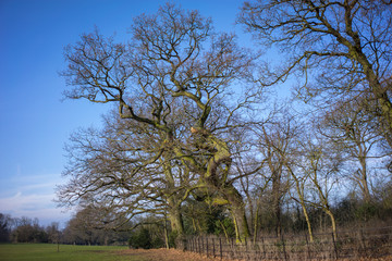 Countryside in England winter to summer