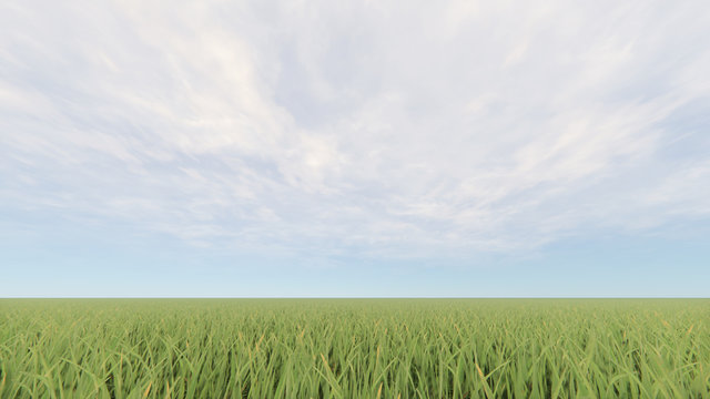 Green grass field and bright blue sky 3D rendering