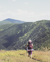 Obraz premium Summer hiking.