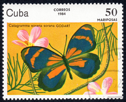 UKRAINE - CIRCA 2017: A stamp printed in Cuba, shows image of a butterfly Catagramma sorana sorana GODARD close-up, circa 1984