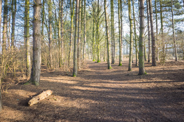 Obraz premium Countryside in the winter
