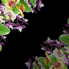 Beautiful floral background with a yellow and purple orchid 