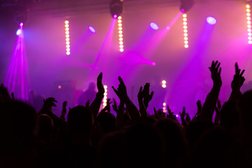 Fototapeta na wymiar Crowd people with hands in the air at a music festival