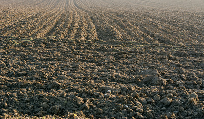 Ackerbau in der Landwirtschaft 