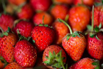 Fresh organic strawberry