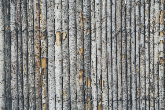A fence made from tree trunks