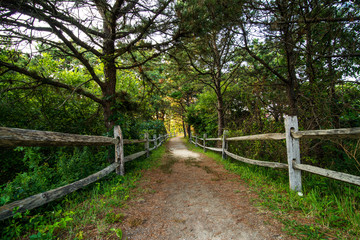 Fototapeta premium Path to the Lighthouse