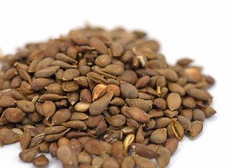 Apfelkerne, Apfelkörner