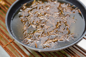 Chef Fried Rosemary Leaves in Olive Oil in a Pan for Making Rosemary Oil.