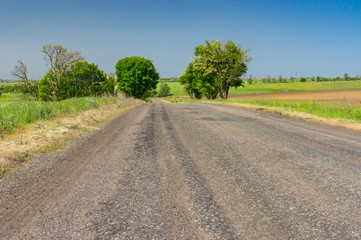 Simple spring landscape with rural road in central Ukraine