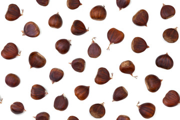 Chestnuts. Seamless photographic pattern. Isolated on white background. Seamless pattern on white background