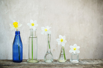 spring flowers on old background