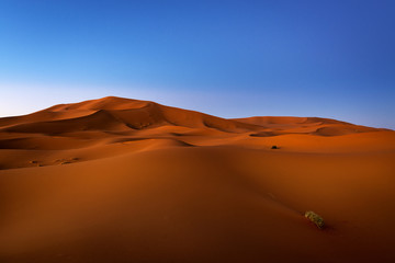 View of the dunes at dawn in Erg Chebbi near Merzouga in Morocco, North Africa; Concept for travel in Morocco