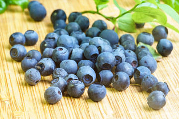 Bilberry Close Up