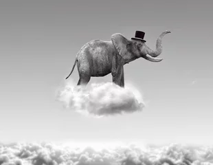 Elefant fliegt in den Wolken © Giovanni Cancemi