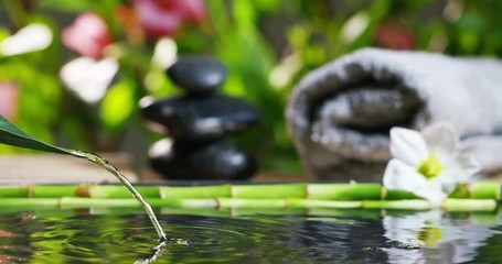 At a spa or health club, dropping a pure water drop from a leaf. background lavender scented environment. Concept: relaxation, wellness, body care, spa, nature, and aromatherapy and scents - Powered by Adobe