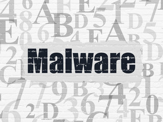 Protection concept: Malware on wall background