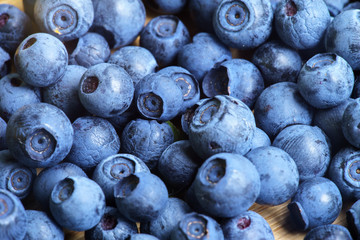 Bilberry Close Up