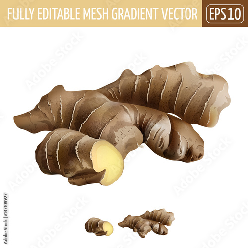 "Ginger on white background. Vector illustration" Stock image and