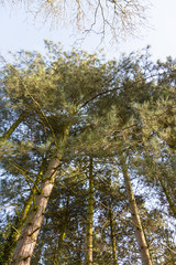 Autumn time in the countryside