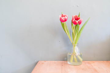 tulip flowers in vase