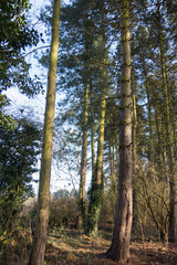 Fototapeta premium Autumn time in the countryside