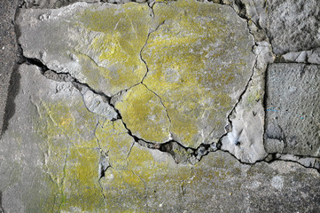 Fragment of the destroyed wall with cracked stucco and green mold.