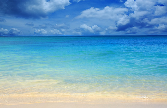 Fototapeta Caribbean sea and blue sky.
