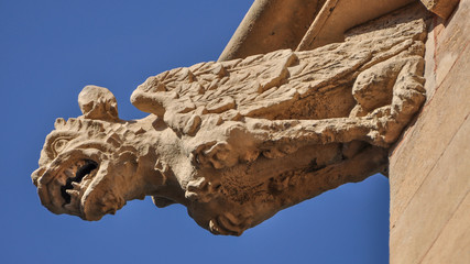 Gargoyle detail, Palma Cathedral, Majorca © lnichetti