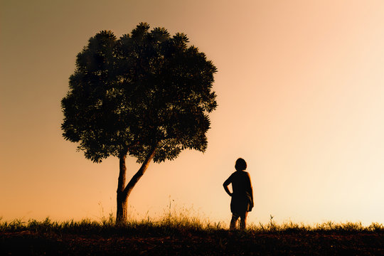 Picture Silhouette, woman standing under a tree.