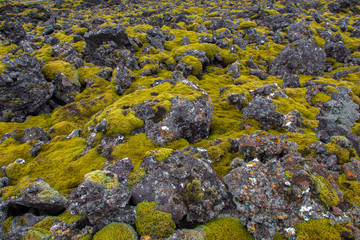 Lava field, Iceland