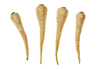 Parsley roots on white background