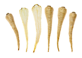 Six parsley roots on white background