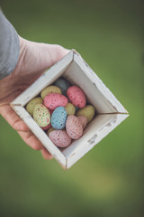 Colorful Easter Eggs in box